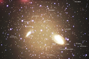 大口径アクロマートでのM81、M82銀河周辺(原寸75％ハイコントラスト版)